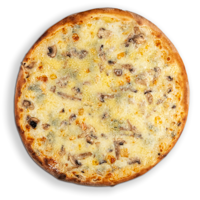 Funghi Farmaggi Pizza